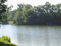 Schoemberg2